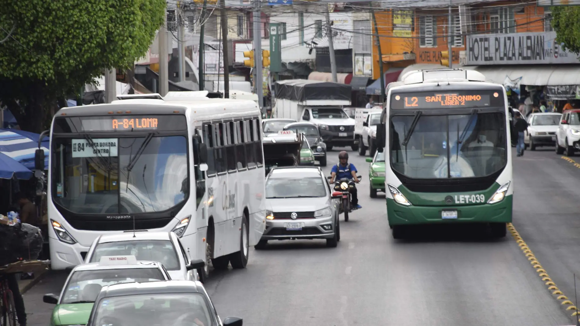 F CARMONA TRAFICO TRANSPORTE (4)